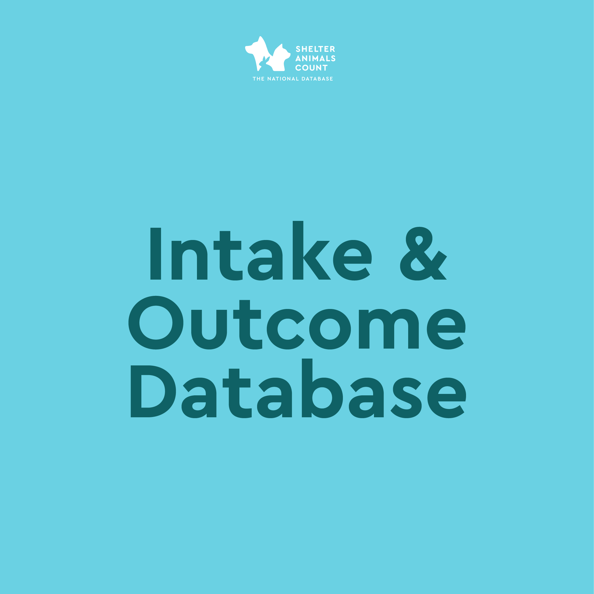 intake and outcome database, shelter animals count