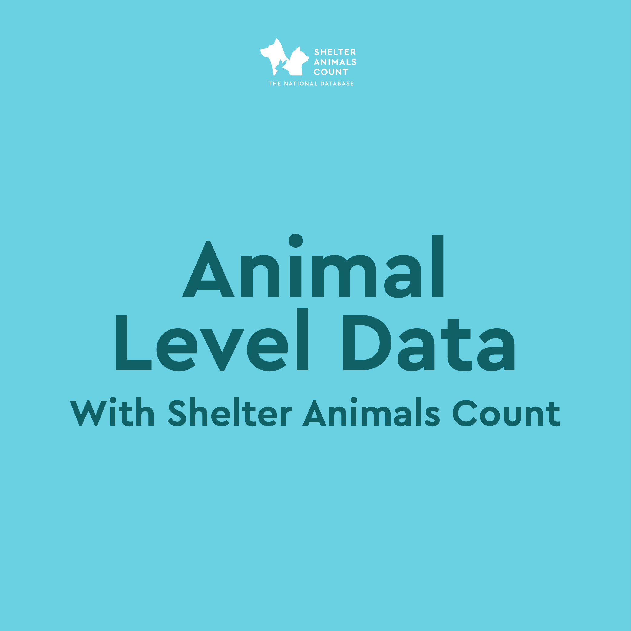 animal level data with shelter animals count