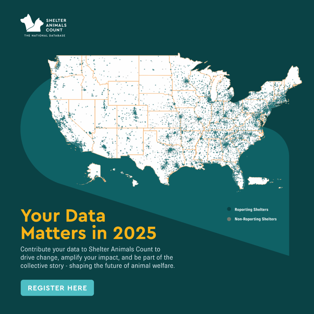 Register your data, shelter animals count