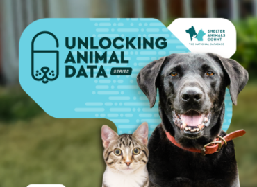 unlocking animal data series, hill's pet nutrition, shelter animals count