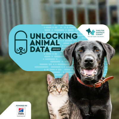 unlocking animal data series, hill's pet nutrition, shelter animals count