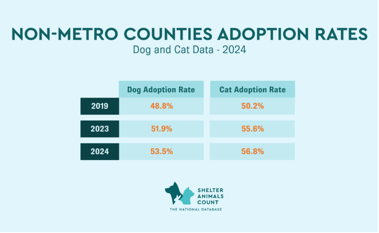 non metro counties intakes and outcomes