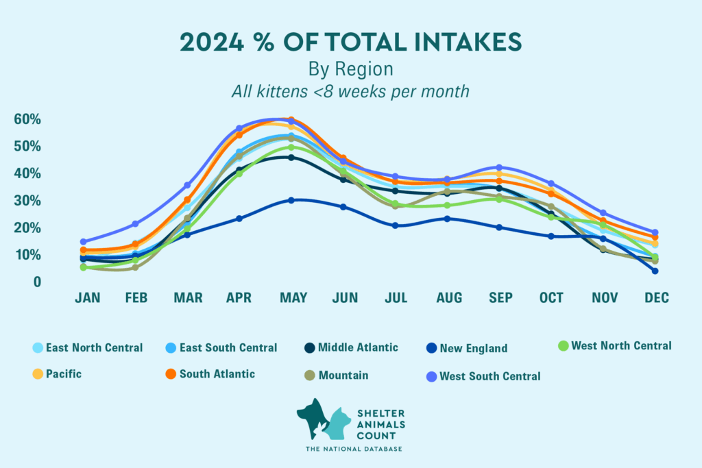 percentage of total intakes, neonate kittens