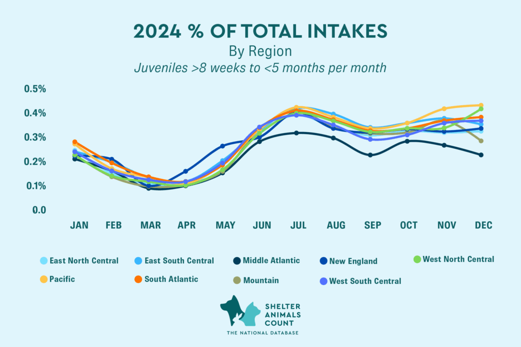 percentage of total intakes, juveniles kittens