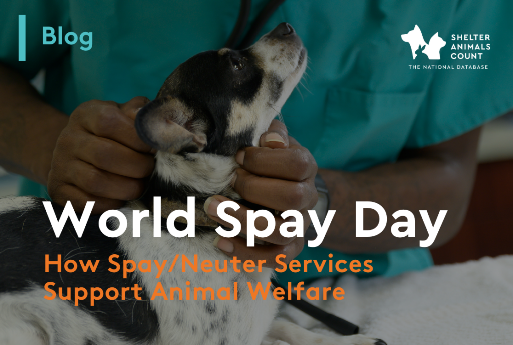 world spay day, shelter animals count, animal statistics