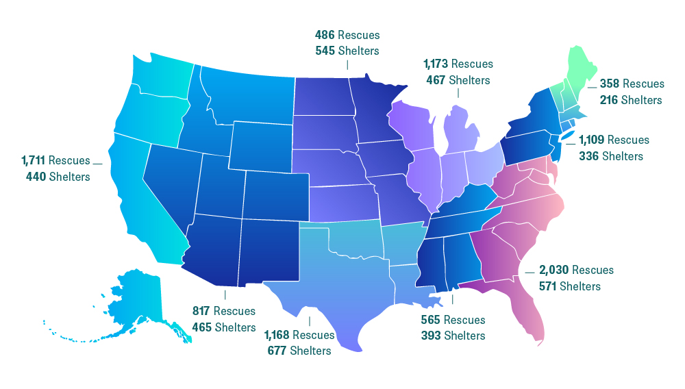 Shelters_Rescues_Map