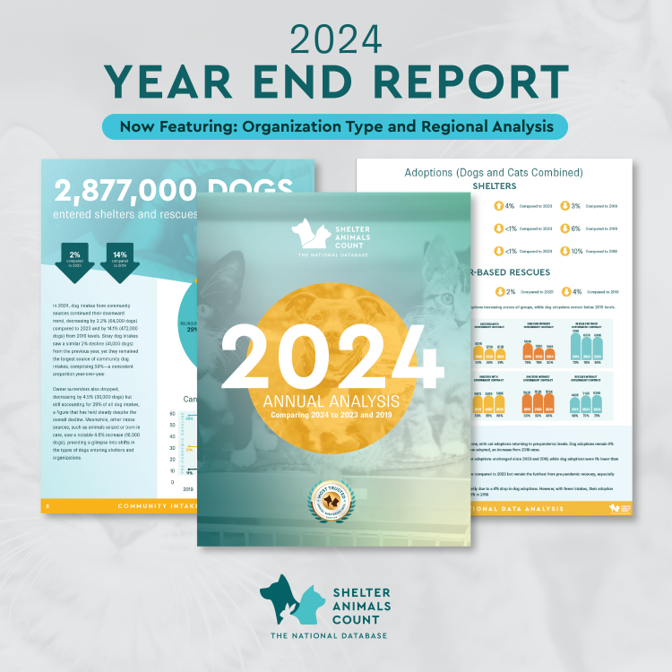 2024 year end report