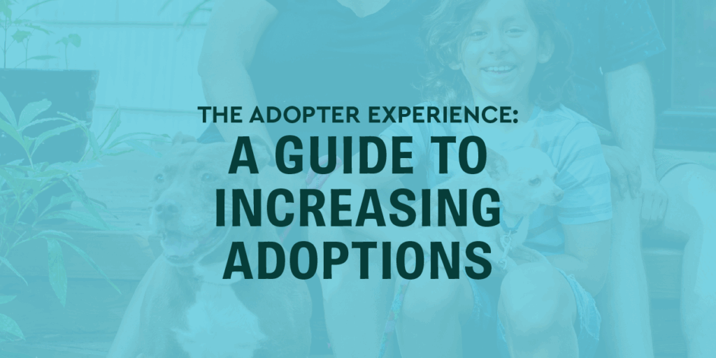 The Adopter Experience: A Guide to Increasing Adoptions