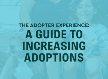 The Adopter Experience: A Guide to Increasing Adoptions