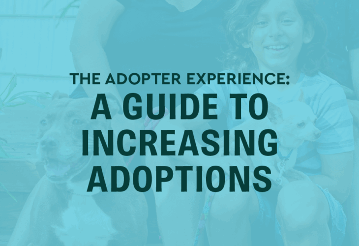 The Adopter Experience: A Guide to Increasing Adoptions